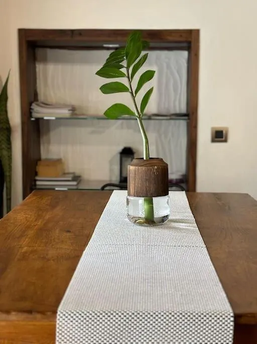 Holiday home La Casa Vieja Villa Santa Cruz de Tenerife